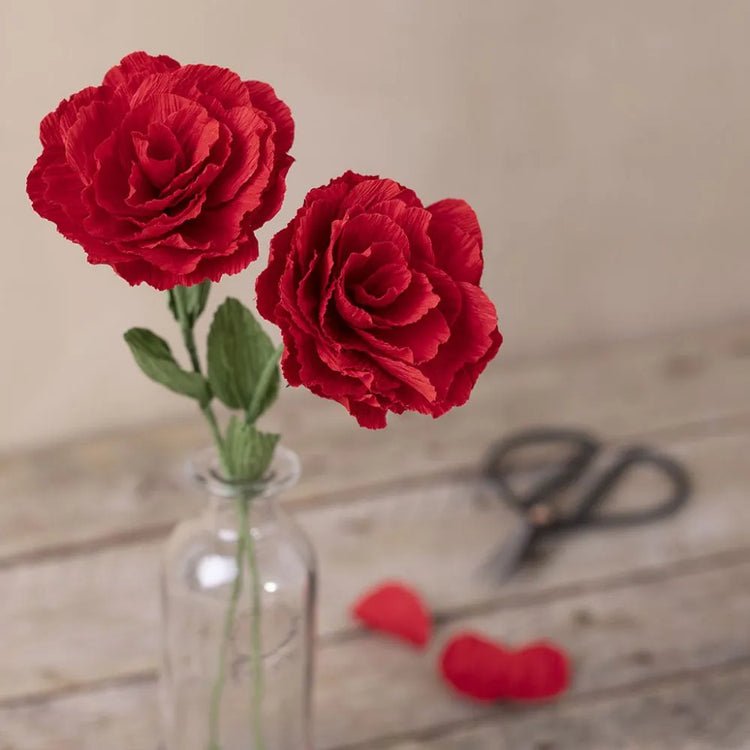 Crepe Paper Floral Kits