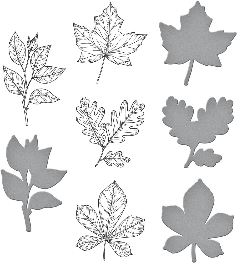 Spellbinders Autumn Leaves Press Plate & Die Set - 17 Cutting Dies