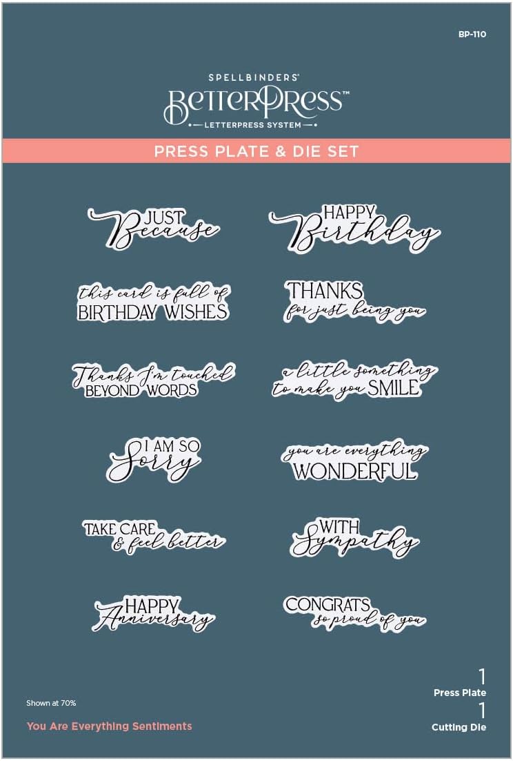 Spellbinders You Are Everything Sentiments Press Plate & Die Set