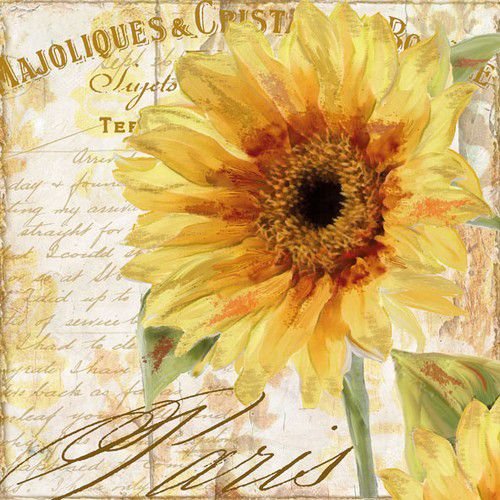 5 x Napkins Tournesol 33x33cm Tissue Decoupage Paper Christmas Party Card Making Crafts - Home - Crafts