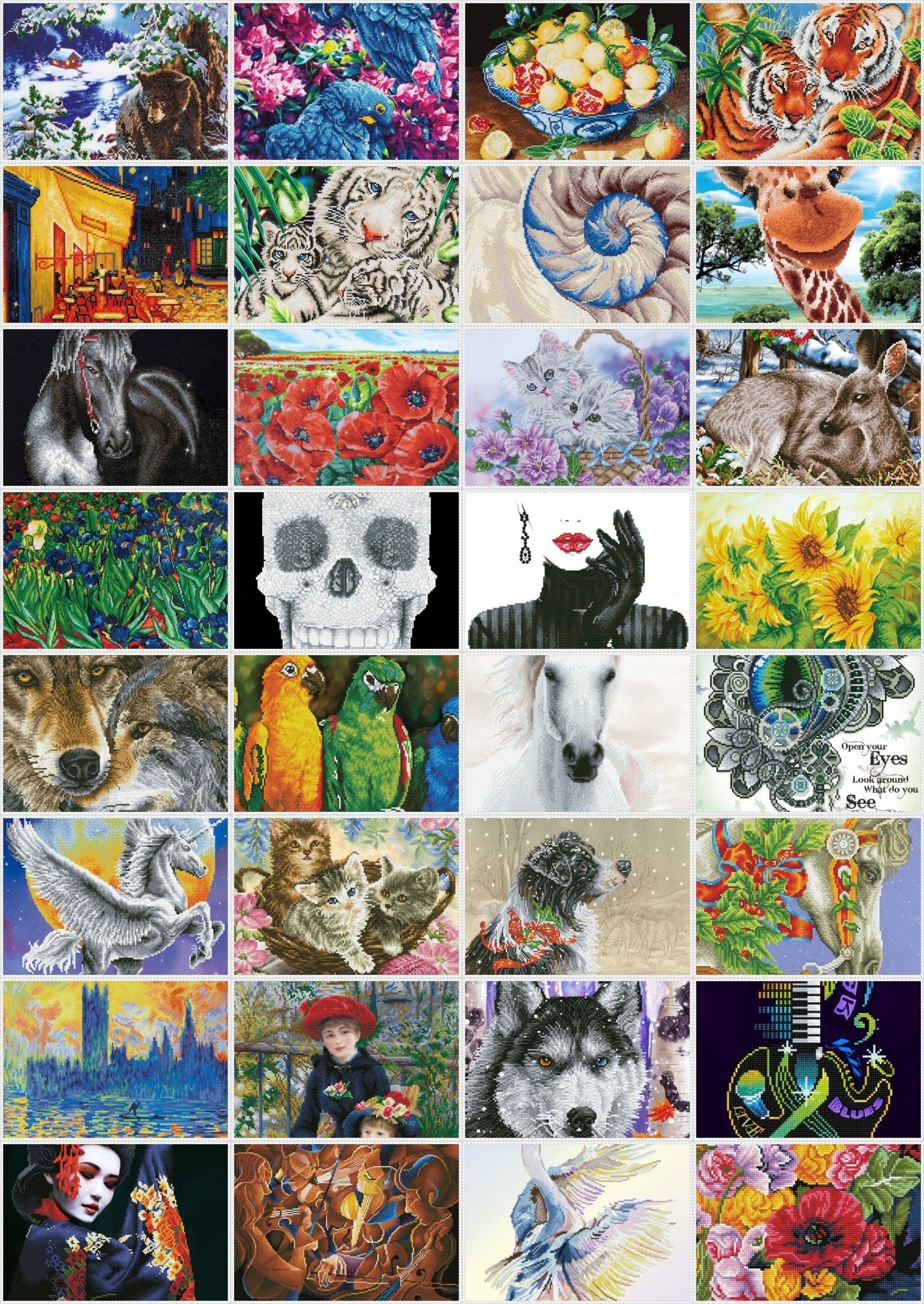 Diamond Dotz Printed Canvas Kit Fabric Needlecrafts 52cm x 42cm - Select Design - Home - Crafts