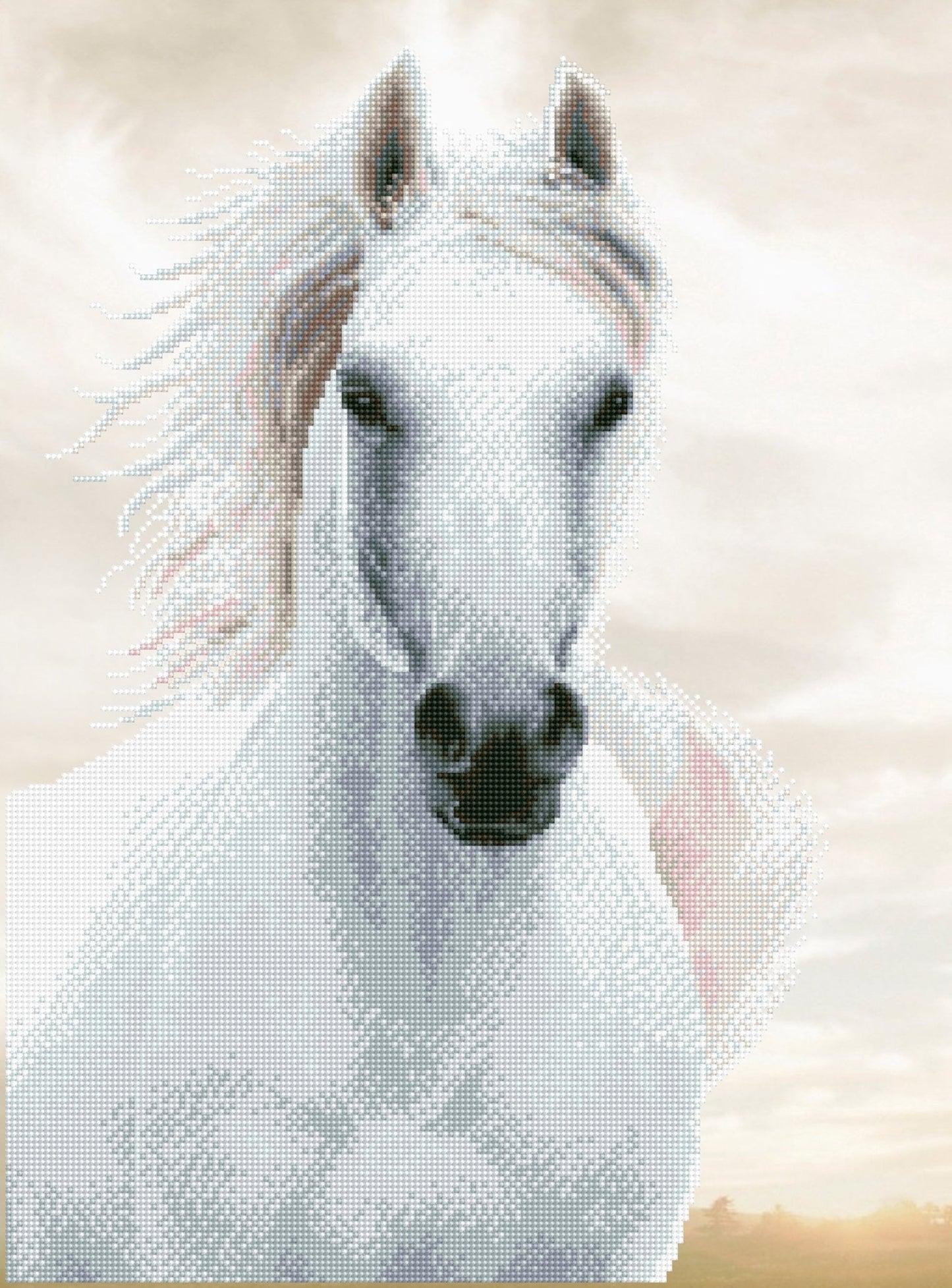 Diamond Dotz Printed Canvas Kit Fabric Needlecrafts 52cm x 42cm - Select Design - Home - Crafts