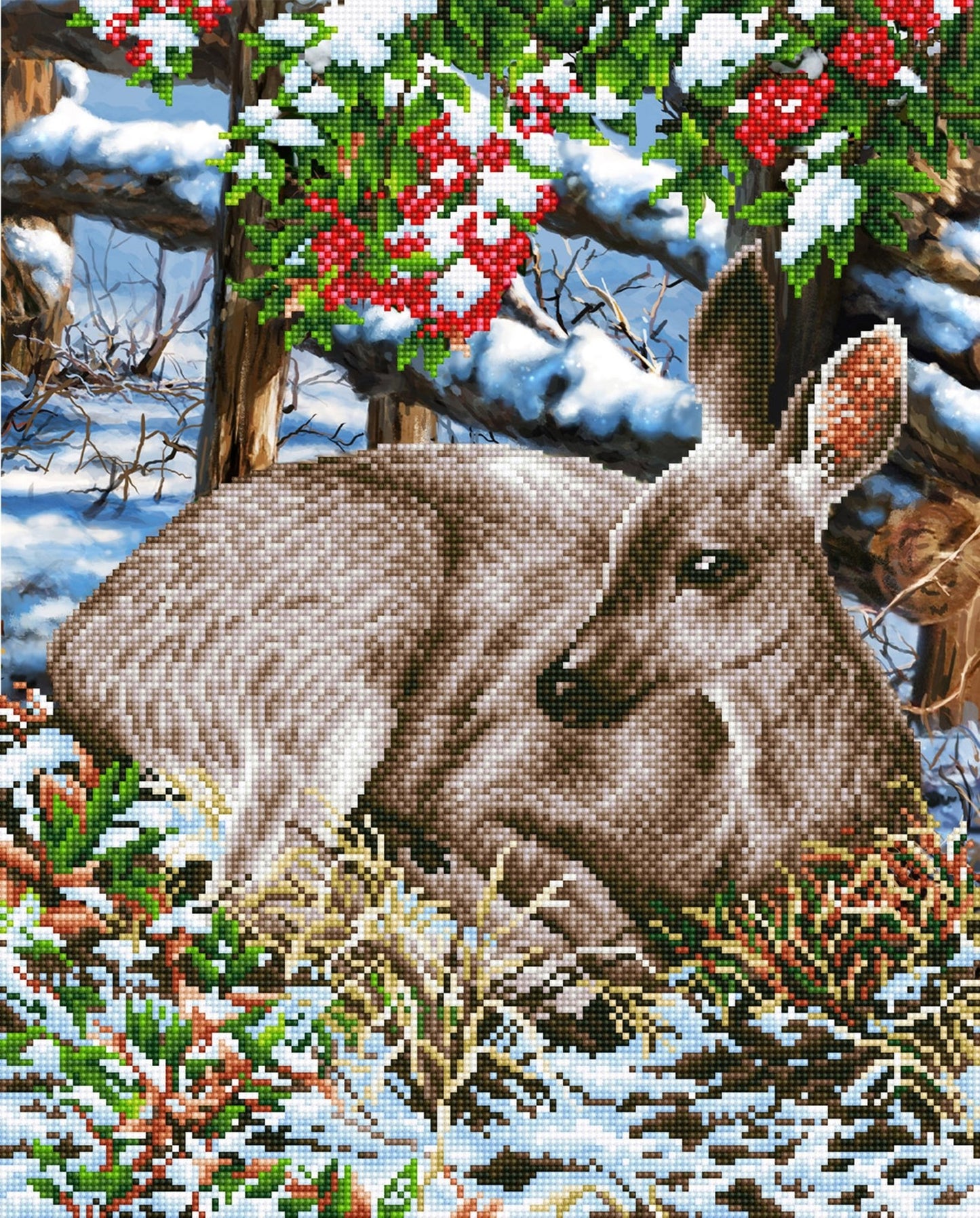 Diamond Dotz Printed Canvas Kit Fabric Needlecrafts 52cm x 42cm - Select Design - Home - Crafts