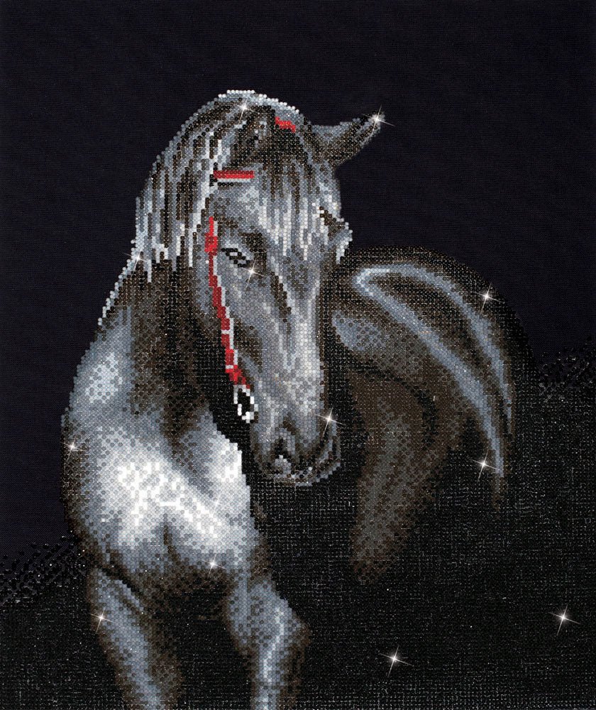 Diamond Dotz Printed Canvas Kit Fabric Needlecrafts 52cm x 42cm - Select Design - Home - Crafts