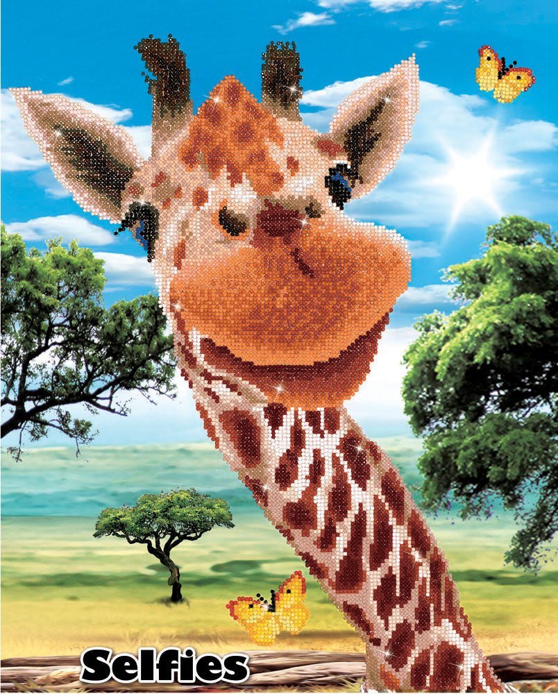 Diamond Dotz Printed Canvas Kit Fabric Needlecrafts 52cm x 42cm - Select Design - Home - Crafts