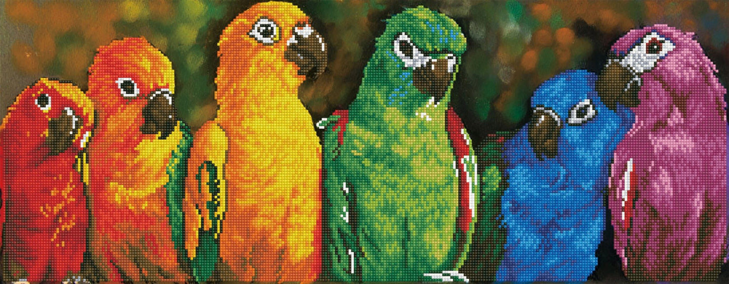 Diamond Dotz Printed Canvas Kit Fabric Needlecrafts 52cm x 42cm - Select Design - Home - Crafts