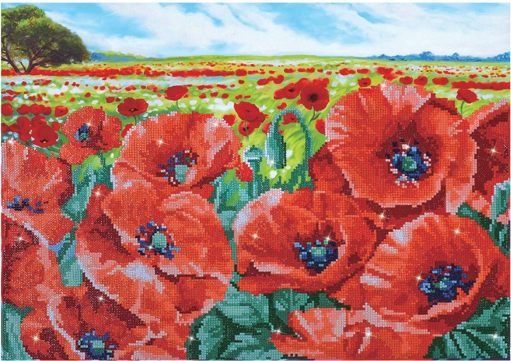 Diamond Dotz Printed Canvas Kit Fabric Needlecrafts 52cm x 42cm - Select Design - Home - Crafts