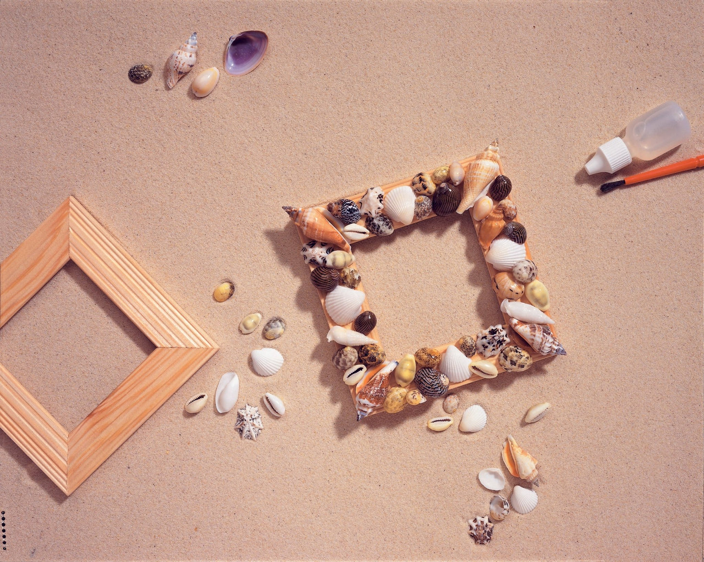 Shell Craft Kit | Instructions Varnish Sea Shells Brush MDF Frame PVA Adhesive