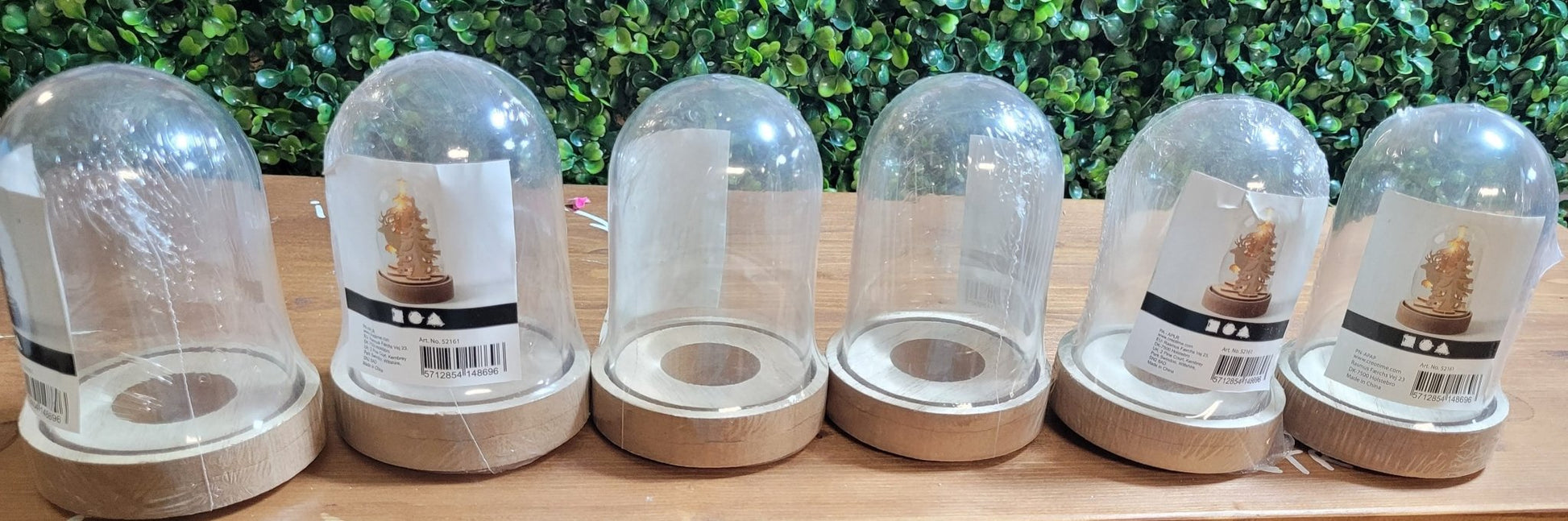 6 x Plastic Globe Bell Jar Dome Display Wooden Base Slightly Cracked Seconds - Home - Crafts