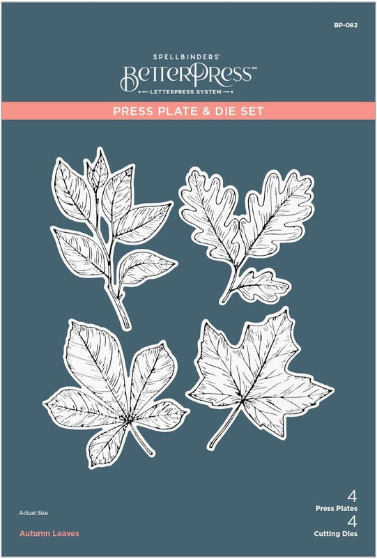 Spellbinders Autumn Leaves Press Plate & Die Set -  17 Cutting Dies
