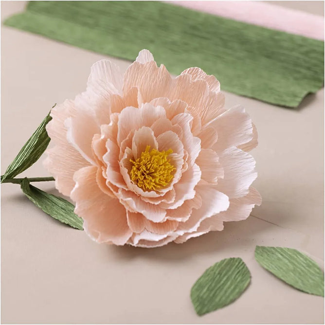 Peony Flower Crepe Paper Craft Kit | All Materials & Instructions