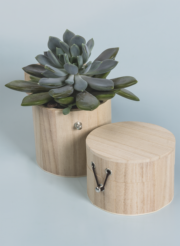 Natural Wooden Round Box 7cmx10cm Elastic Cord & Button Fastening Box Craft