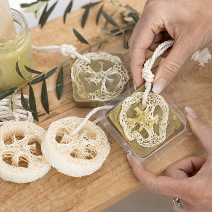 Craft Kit - Soap Making - Loofah Exfoliating Soaps with Olive Oil Base - Olive Green - Home - Crafts