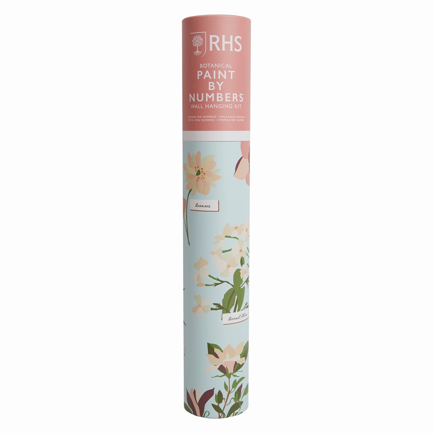 Paint By Numbers Botanical Kit - RHS Wall Hanging Art 500x400mm 24 Paints - Home-Crafts