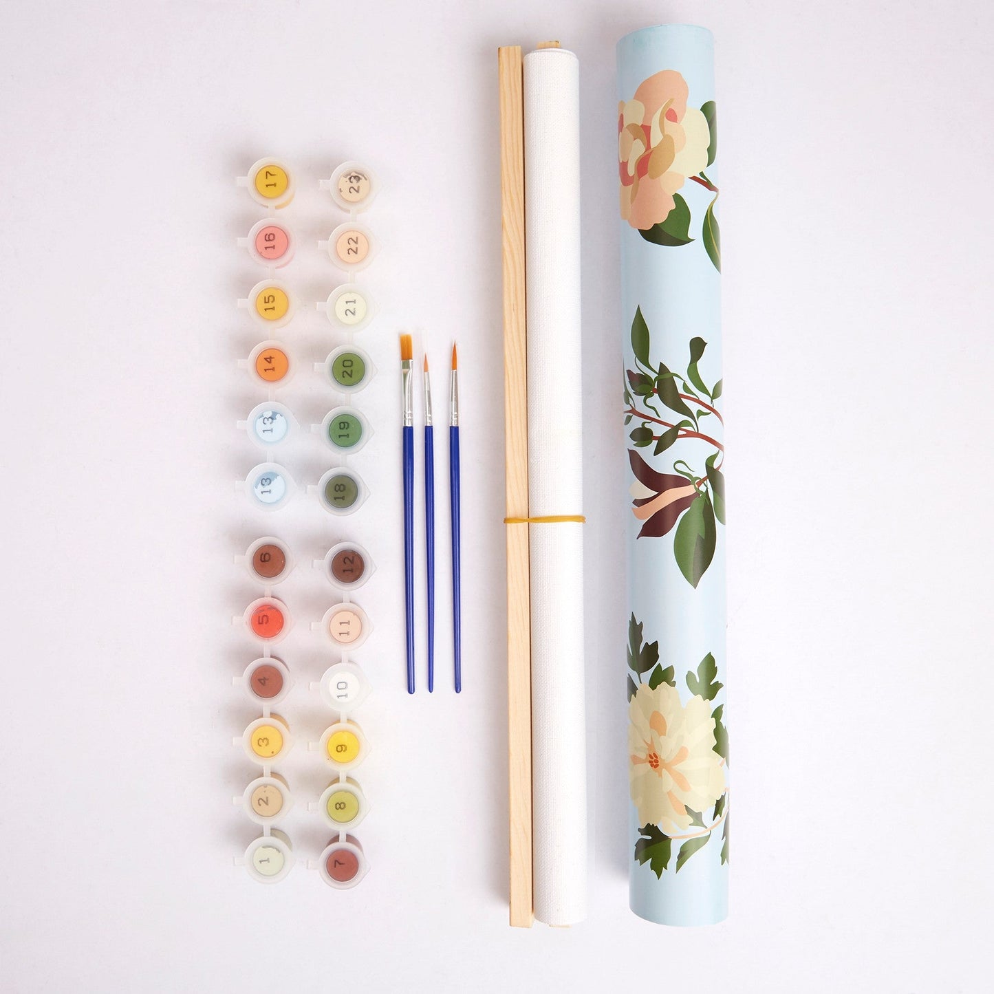 Paint By Numbers Botanical Kit - RHS Wall Hanging Art 500x400mm 24 Paints - Home-Crafts