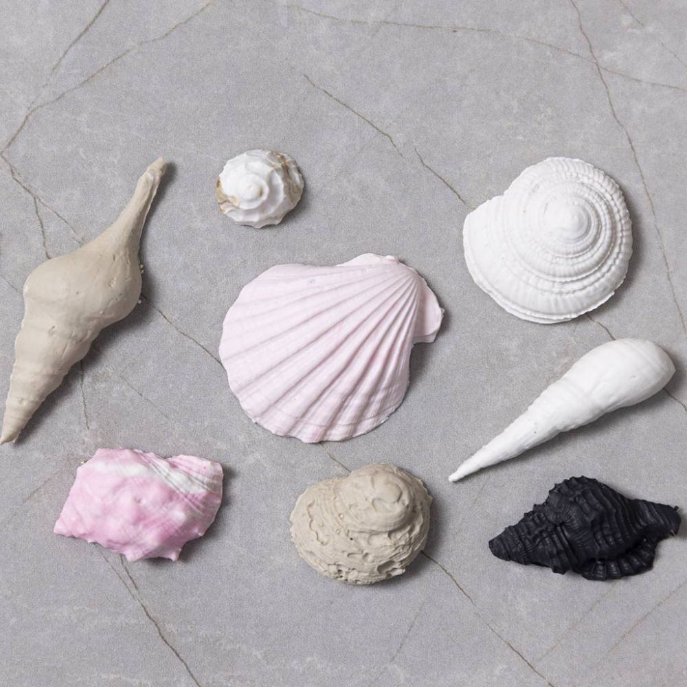 Silicone Mould - Conch & Shells Motif - For Jewellery, Soap & Resin Casting - 1 - 2.8cm - Home - Crafts