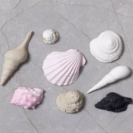 Silicone Mould - Conch & Shells Motif - For Jewellery, Soap & Resin Casting - 1 - 2.8cm - Home - Crafts