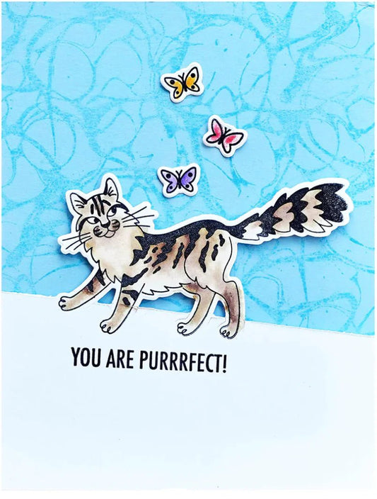 Spellbinders Purrfect Cats Etched Dies for Coordinating Stamp Set by Simon Hurley