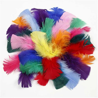 Turkey Feathers Craft Decoration Fine Quality 7-8 cm 50g Mixed Assorted Colours