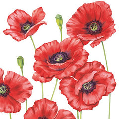 5 Napkins Poppies 33 x 33 cm Tissue Decoupage Paper Party Craft - Hobby & Crafts