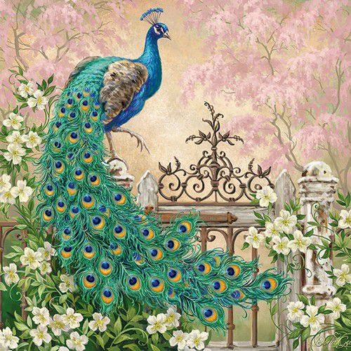 5 Napkins Noble Peacock 33x33cm Tissue Decoupage Paper Party Card Making Crafts