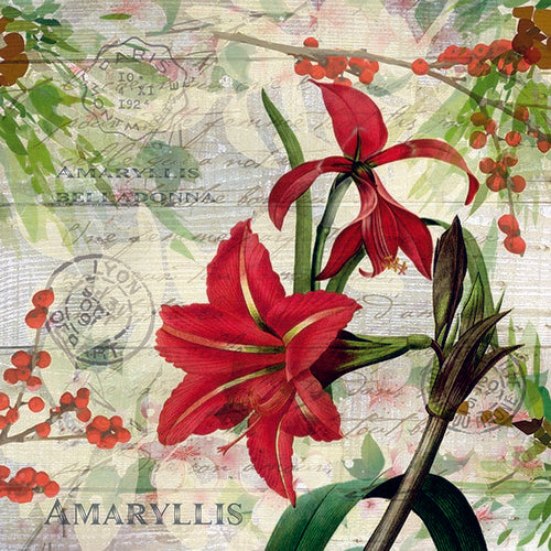 5 Napkins Red Amaryllis 33 x 33 cm Tissue Decoupage Paper Party Craft - Hobby & Crafts