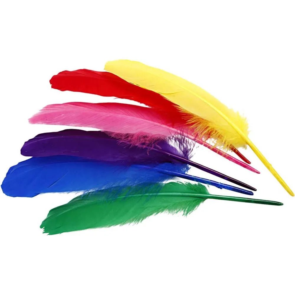 36 Hen Feathers Craft Decoration Good Qaulity L:20 cm 6 Assorted Bright Colours