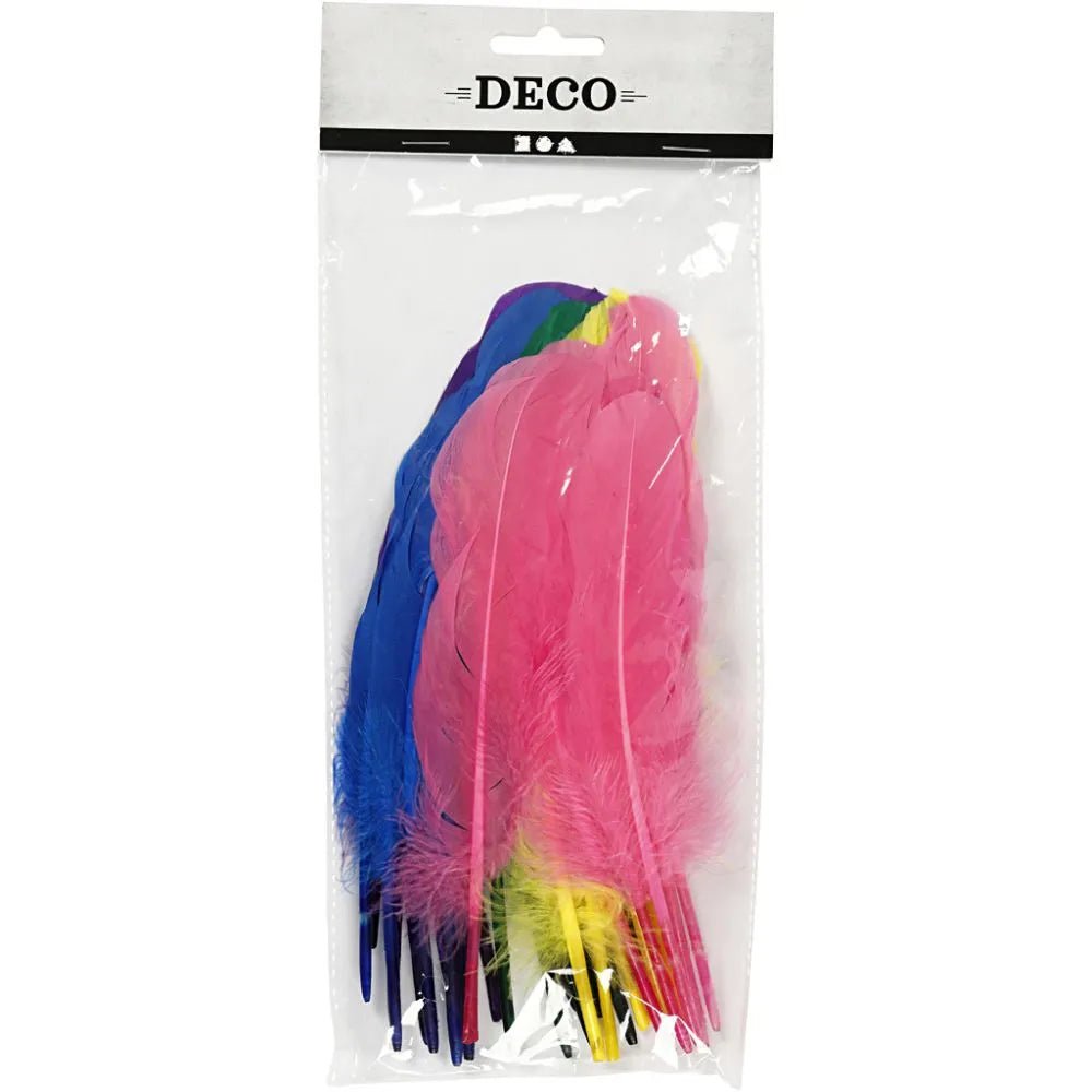 36 Hen Feathers Craft Decoration Good Qaulity L:20 cm 6 Assorted Bright Colours