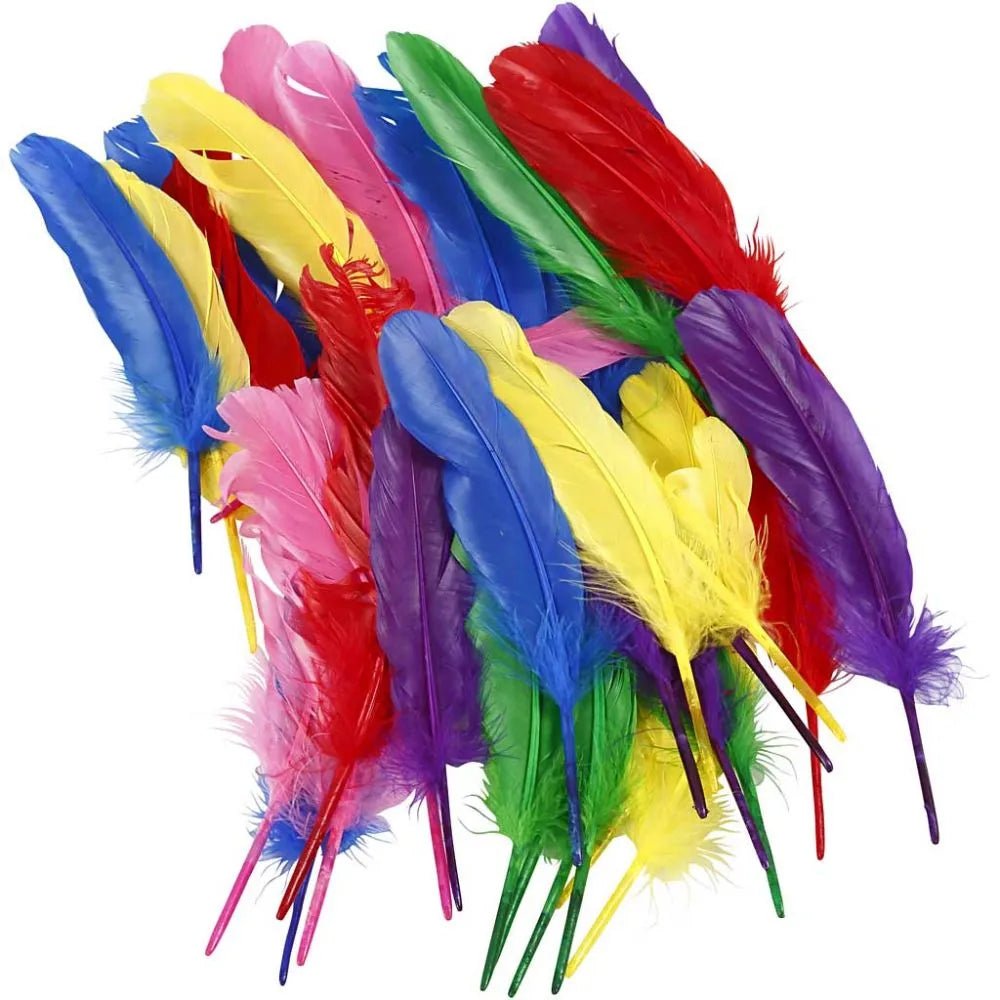 36 Hen Feathers Craft Decoration Good Qaulity L:20 cm 6 Assorted Bright Colours