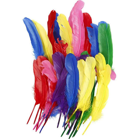 36 Hen Feathers Craft Decoration Good Qaulity L:20 cm 6 Assorted Bright Colours