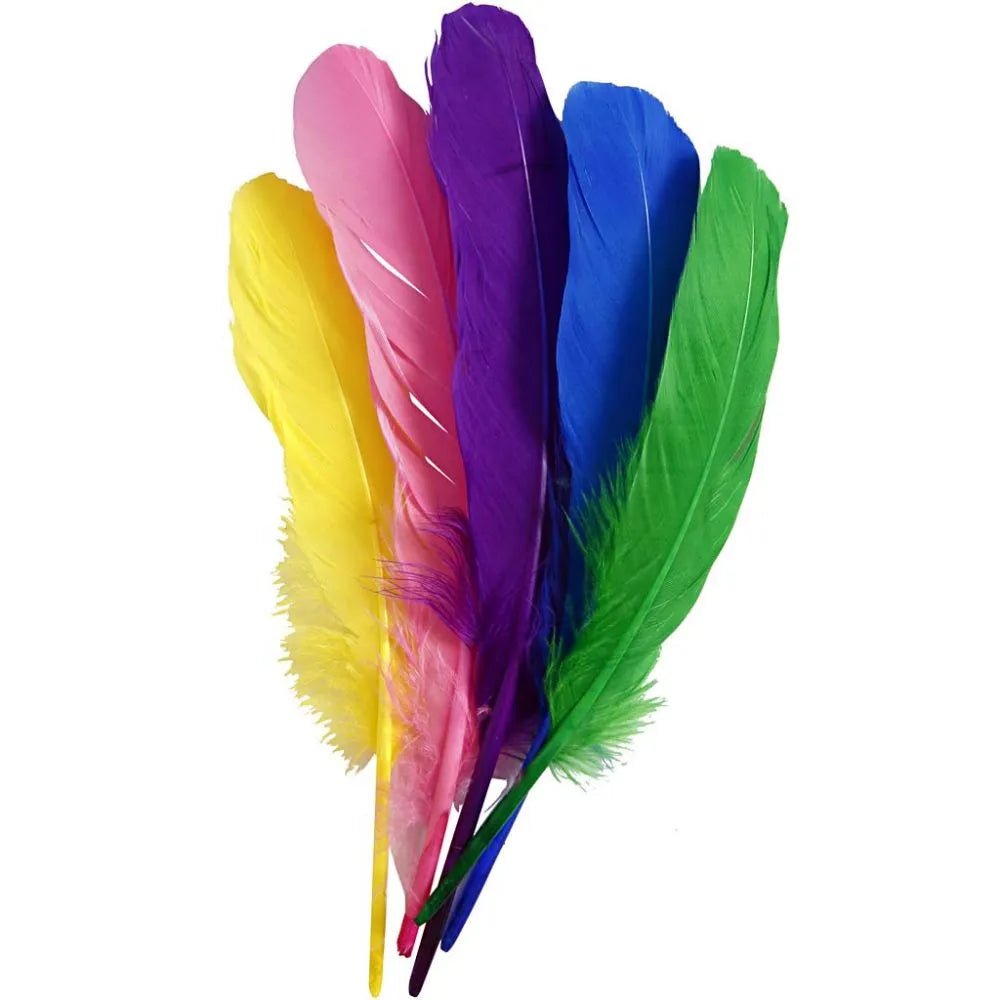 36 Hen Feathers Craft Decoration Good Qaulity L:20 cm 6 Assorted Bright Colours
