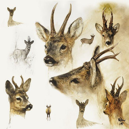 5 Napkins Deer 33 x 33 cm Tissue Decoupage Paper Party Craft - Home - Crafts