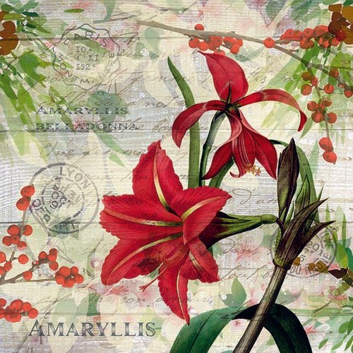 5 Napkins Red Amaryllis 33 x 33 cm Tissue Decoupage Paper Party Craft - Home - Crafts