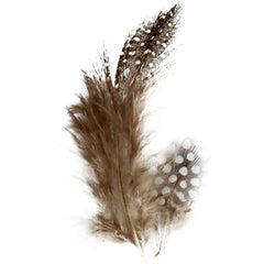 100 x Guinea Fowl Feathers Craft Accessories Decoration Good Quality Natural 3g