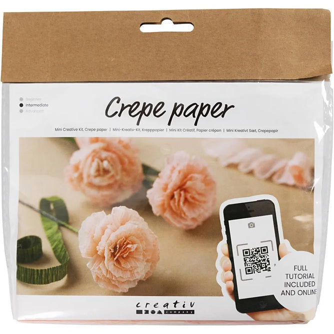 Carnations Paper Flower Mini Craft Kit Crepe Crêpe All Materials & Instructions