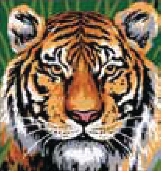 Collection d'Art Printed Needlepoint Tapestry Canvas Kit Needlecraft 20x20cm | Tiger