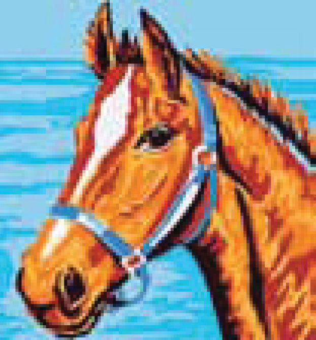Collection d'Art Printed Needlepoint Tapestry Canvas Kit Needlecraft 20x20cm - Horse's Head