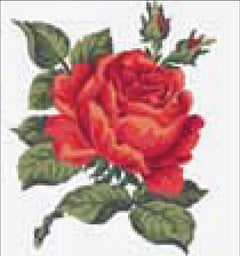 Collection d'Art Printed Needlepoint Tapestry Canvas Kit Needlecraft 20x20cm - Red Rose