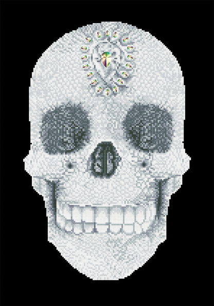 Diamond Dotz Printed Canvas Kit Fabric Needlecrafts 52cm x 42cm - Select Design