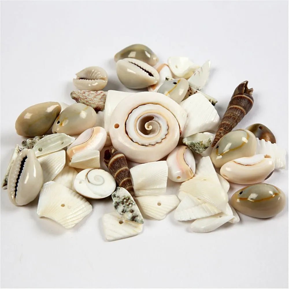 Assorted Shapes Beach Shells Beads With Hole Jewellery Making Supplies ...