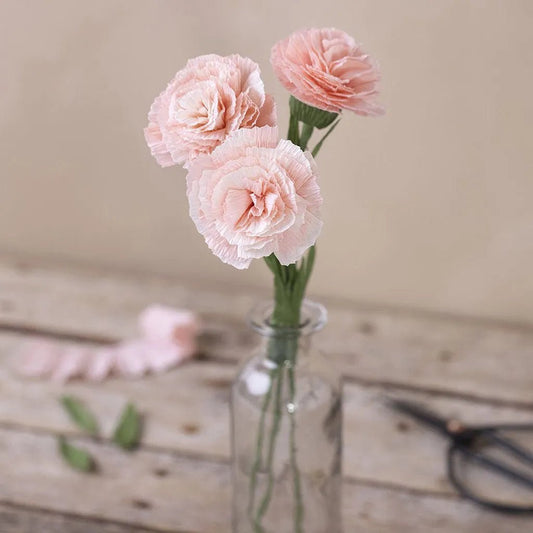Carnations Paper Flower Mini Craft Kit Crepe Crêpe All Materials & Instructions