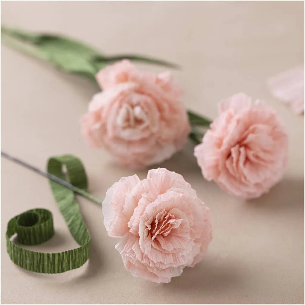 Carnations Paper Flower Mini Craft Kit Crepe Crêpe All Materials & Instructions