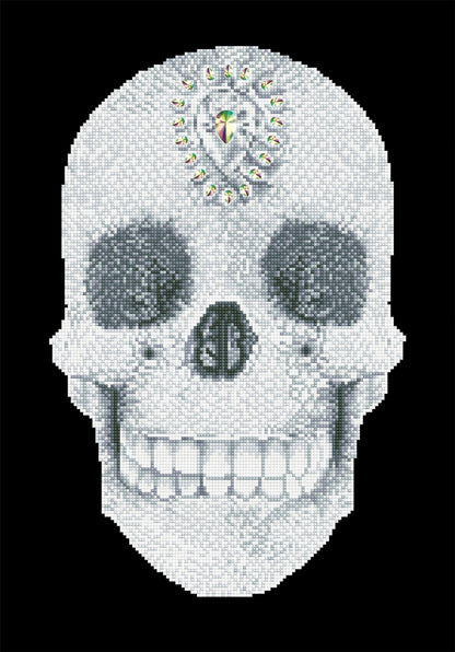 Diamond Dotz Printed Canvas Kit Fabric Needlecrafts 52cm x 42cm - Select Design - Home - Crafts