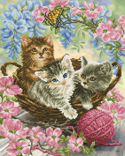 Diamond Dotz Printed Canvas Kit Fabric Needlecrafts 52cm x 42cm - Select Design - Home - Crafts