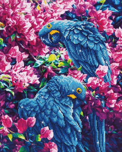 Diamond Dotz Printed Canvas Kit Fabric Needlecrafts 52cm x 42cm - Select Design