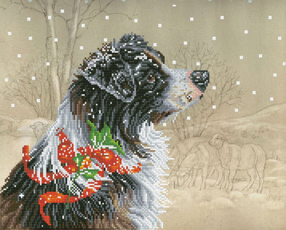 Diamond Dotz Printed Canvas Kit Fabric Needlecrafts 52cm x 42cm - Select Design - Home - Crafts