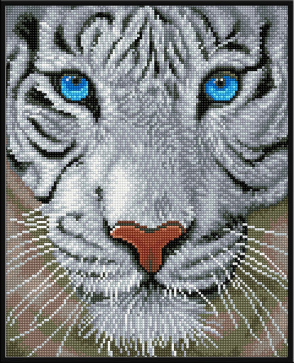Diamond Dotz Printed Canvas White Frame Needlecrafts 32cm x 32cm - Select Design - Home - Crafts
