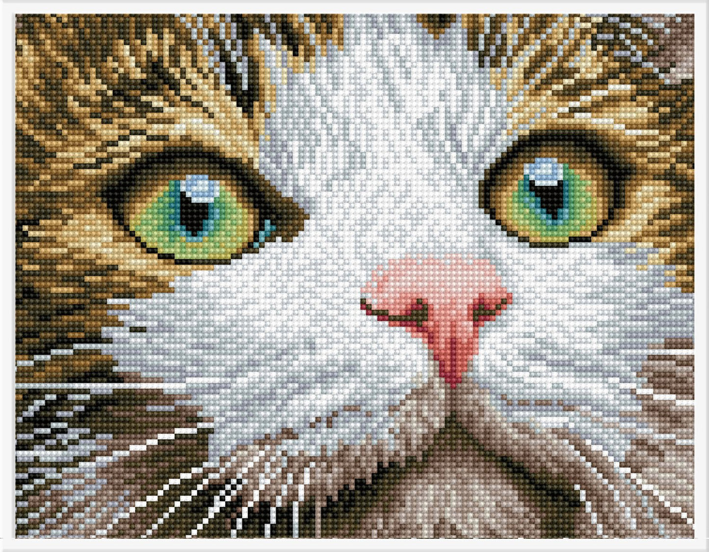Diamond Dotz Printed Canvas White Frame Needlecrafts 32cm x 32cm - Select Design - Home - Crafts