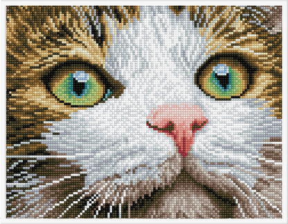 Diamond Dotz Printed Canvas White Frame Needlecrafts 32cm x 32cm - Select Design - Home - Crafts