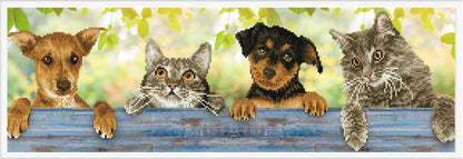 Diamond Dotz Printed Canvas White Frame Needlecrafts 32cm x 32cm - Select Design - Home - Crafts